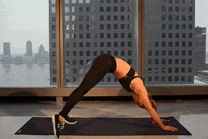 5.gif