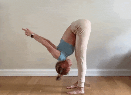 5.gif