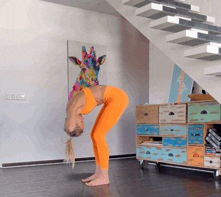 1.gif