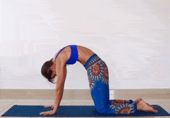 1.gif
