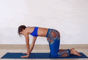 2.gif