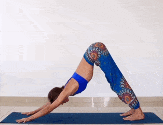 3.gif