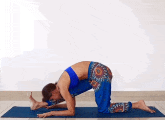 5.gif