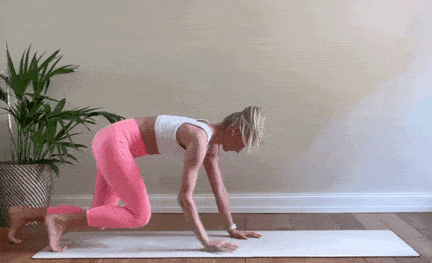 1.gif