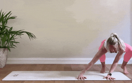 2.gif