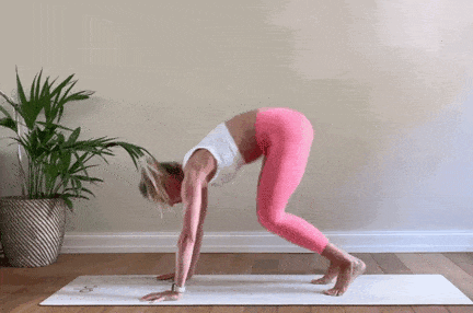 6.gif