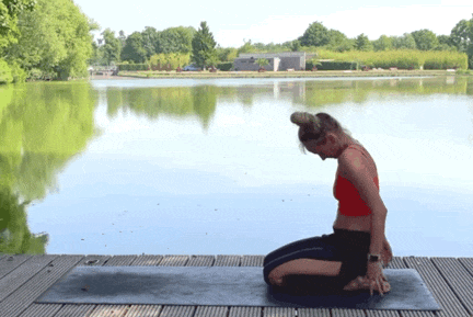 8.gif