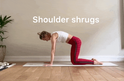 3.gif