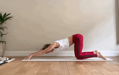 5.gif