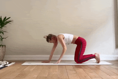 6.gif