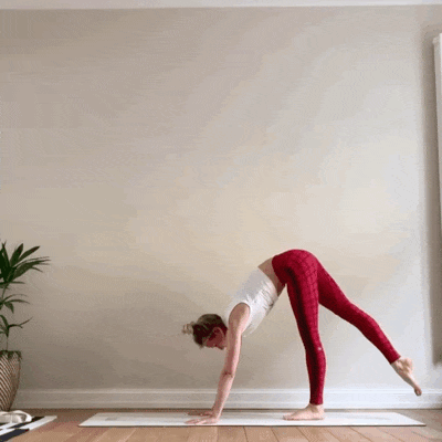 13.gif