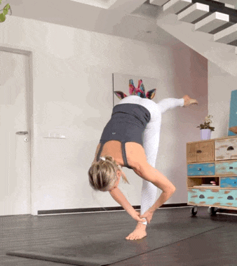 8.gif