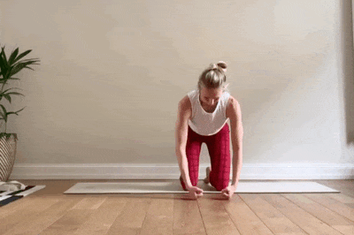 2.gif