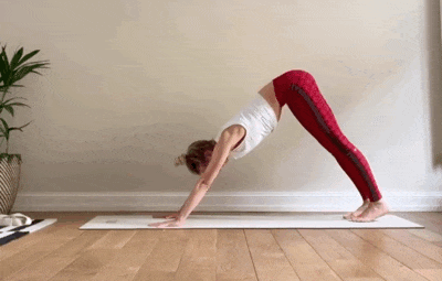 4.gif