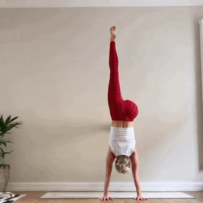 12.gif