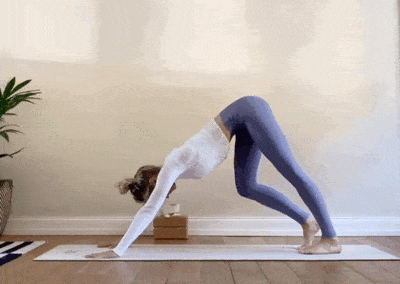 4.gif