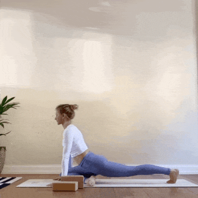 5.gif