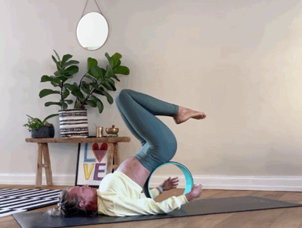 6.gif
