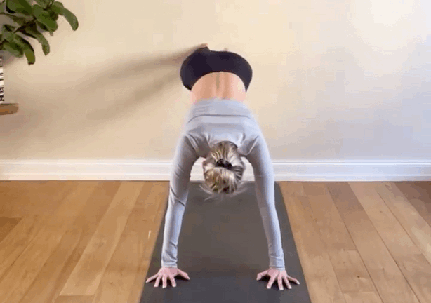 4.gif
