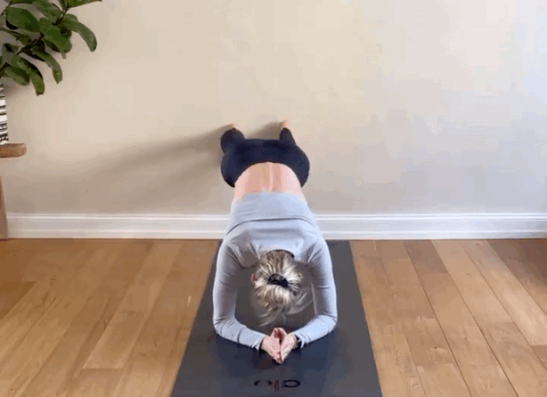 5.gif