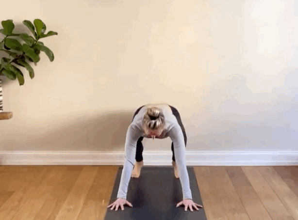 6.gif