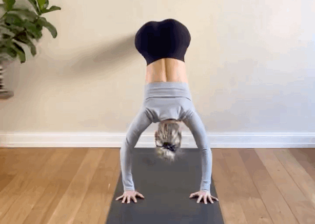 8.gif