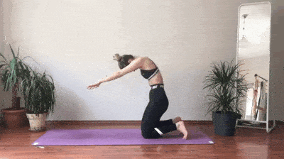 131.gif