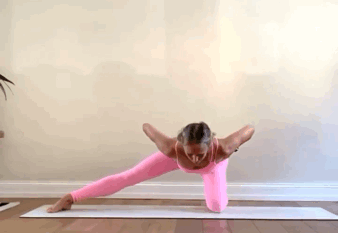 1.gif