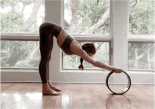 2.gif