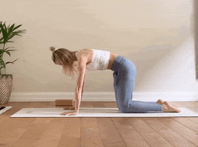 1.gif