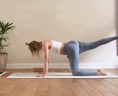 2.gif