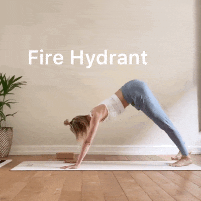 4.gif