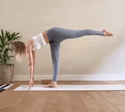 5.gif