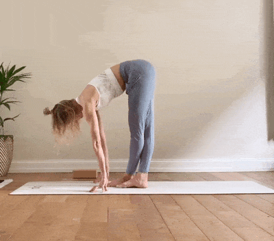12.gif
